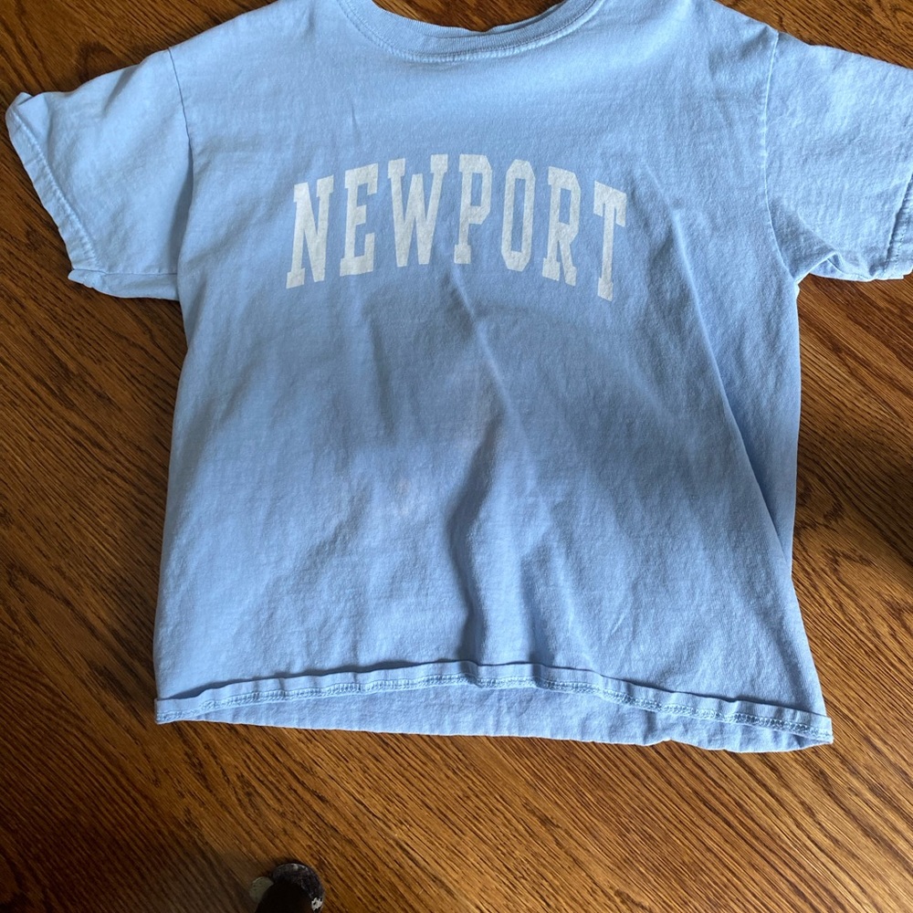 Brandy Melville light blue Newport tee
